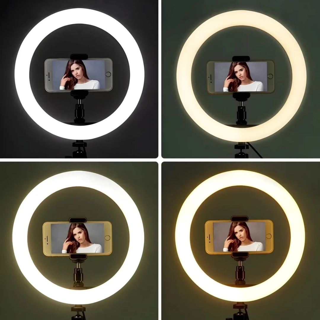 Diseño sin título (26)