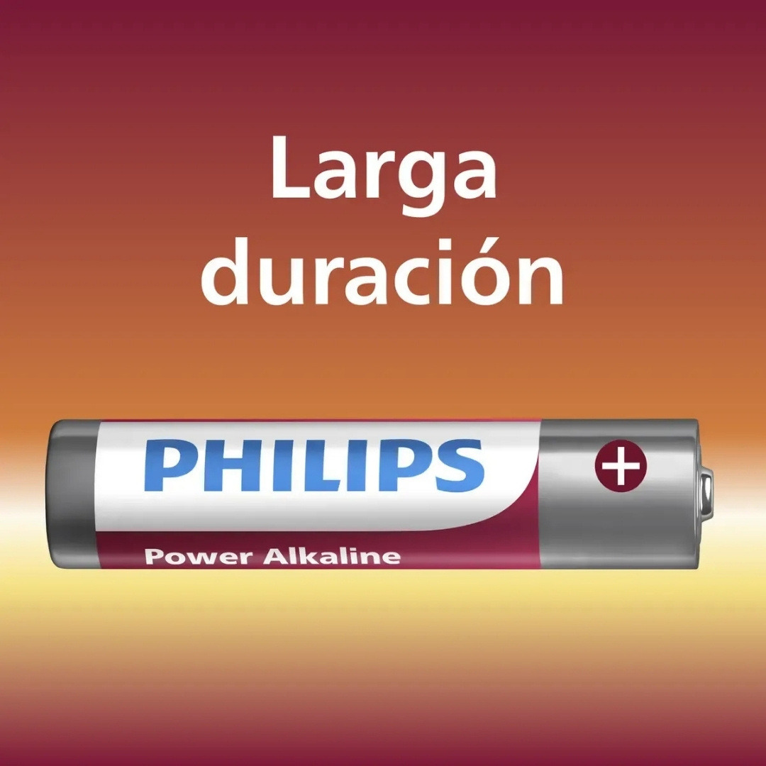 Texto - 2026-08-24T114505.403